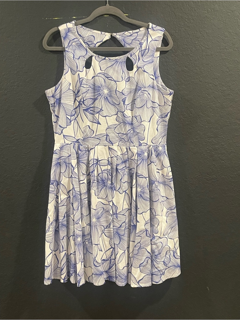 Danny & Nicole White and Blue Floral Fit-and-Flare Mini Dress